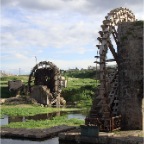 norias (water wheels for irrigation)